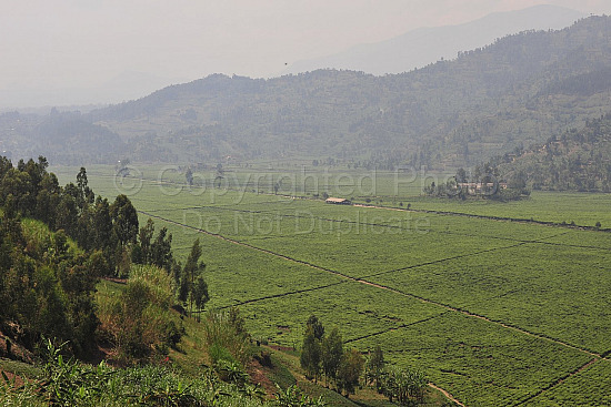 Rwanda images