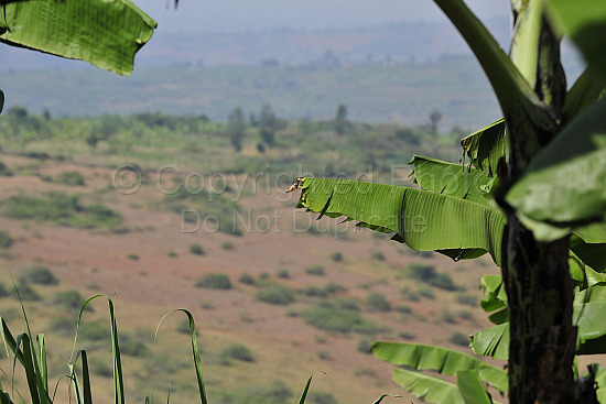 Rwanda images