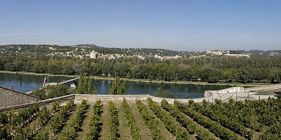 Provence Scene