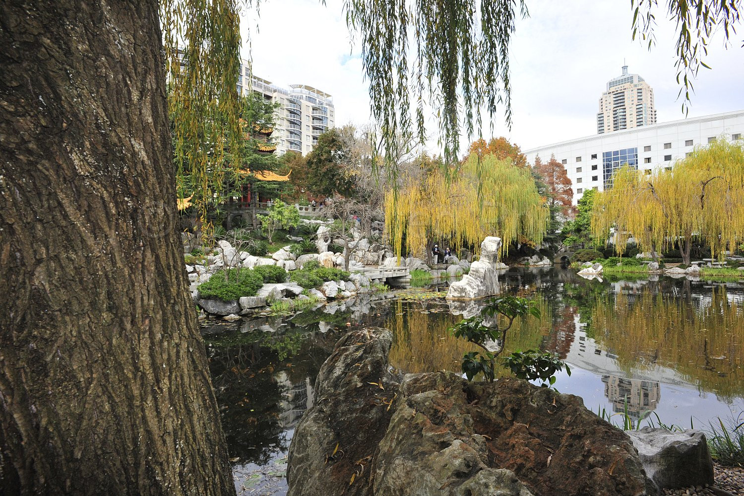 Japanese Garden Sydney
