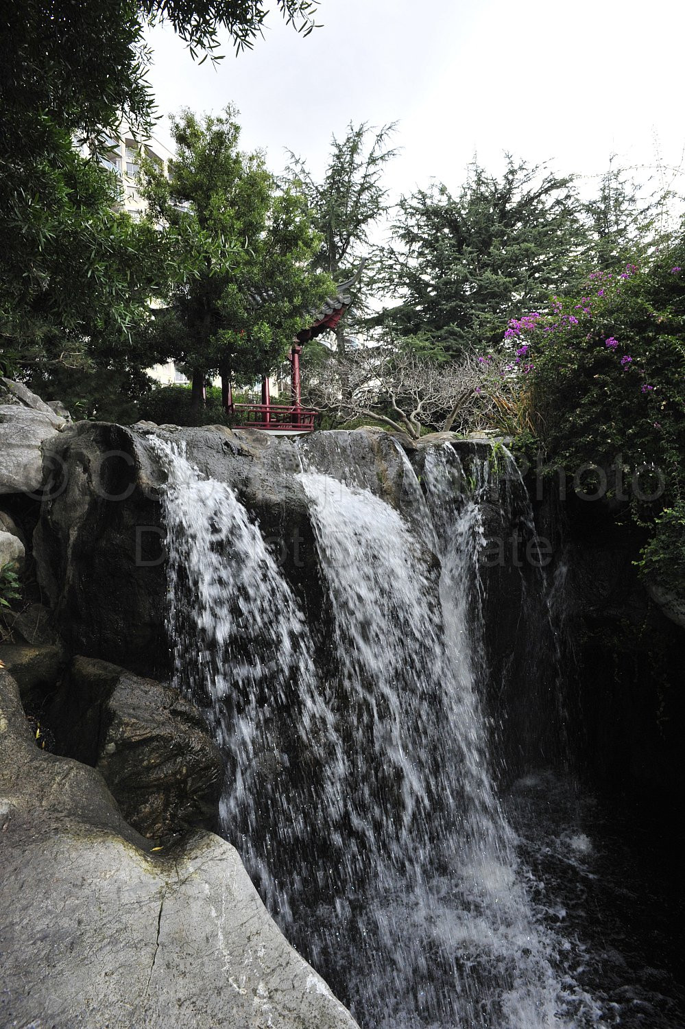 Japanese Garden Sydney