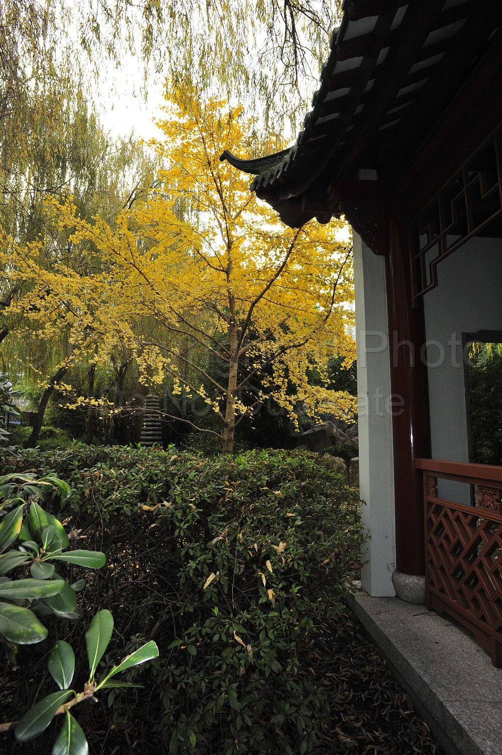 Japanese Garden Sydney