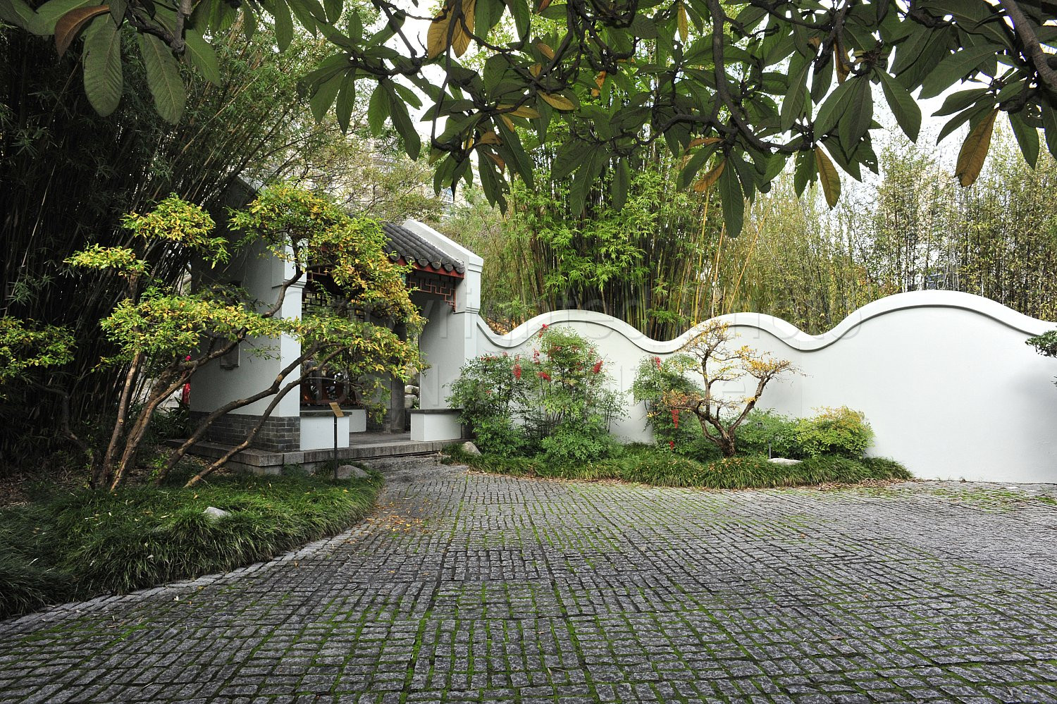 Japanese Garden Sydney