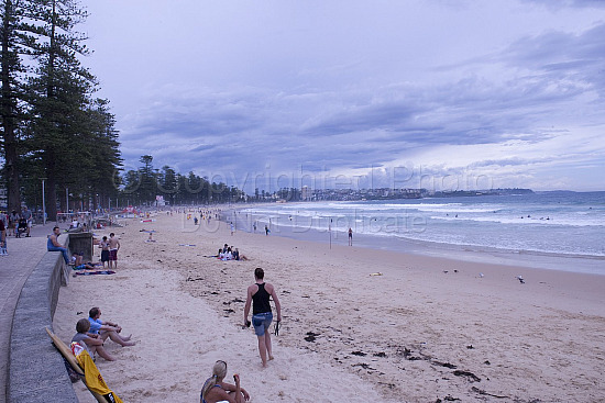 Manly Beach