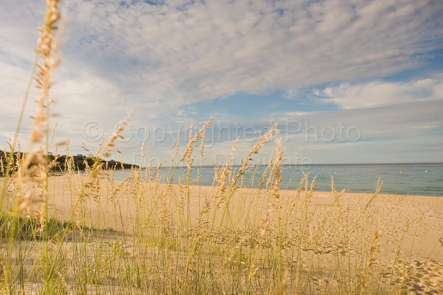 Eagle Bay Beach