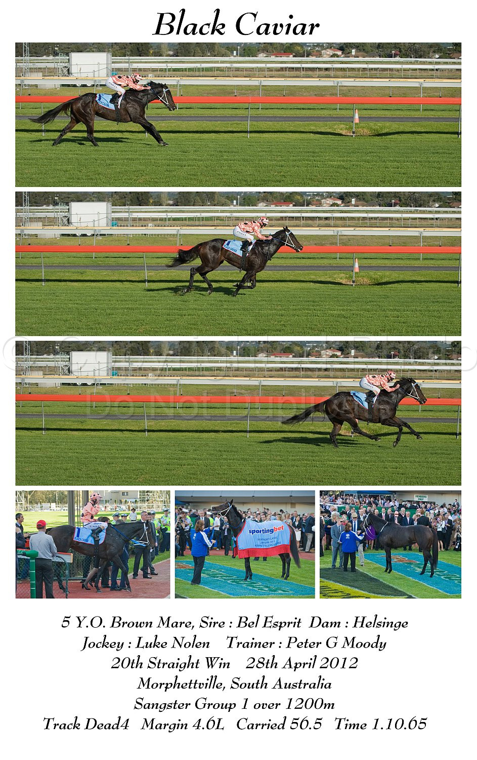 Black Caviar