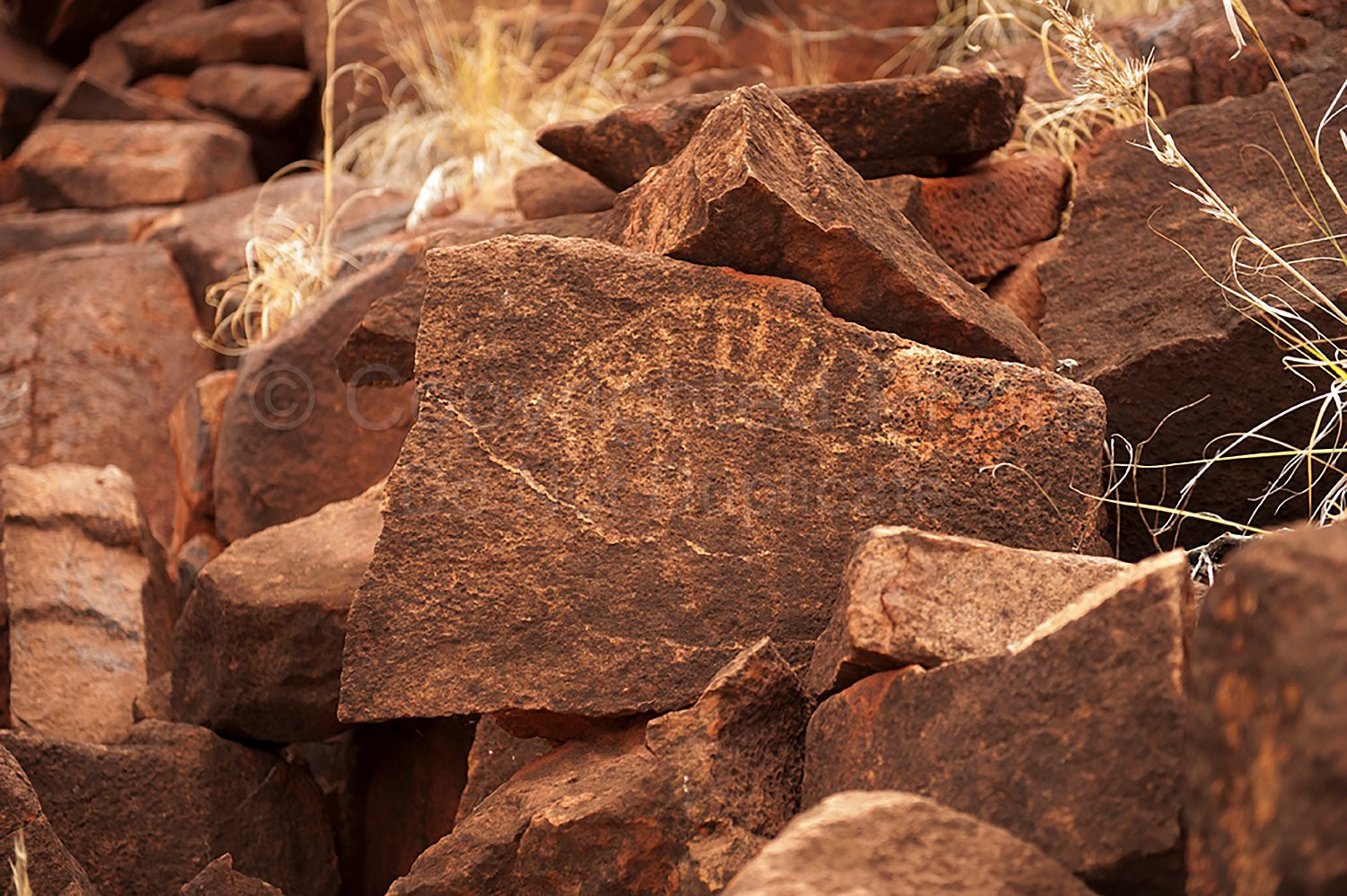 Tom Price Rock Art