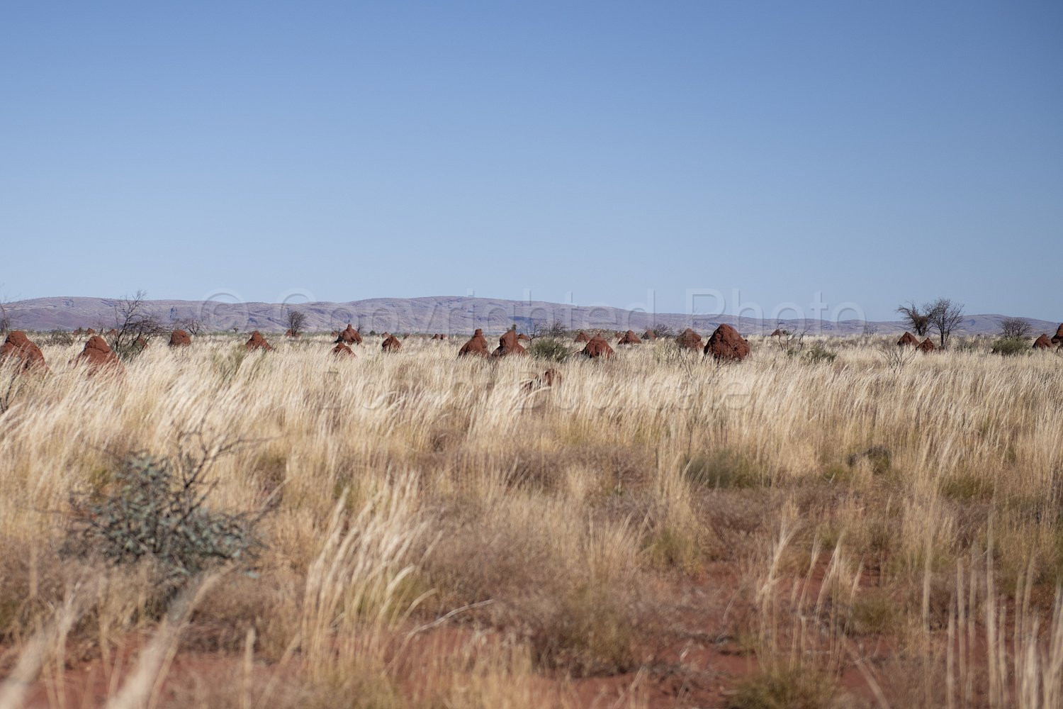 Kalgan Landscape Pilbara