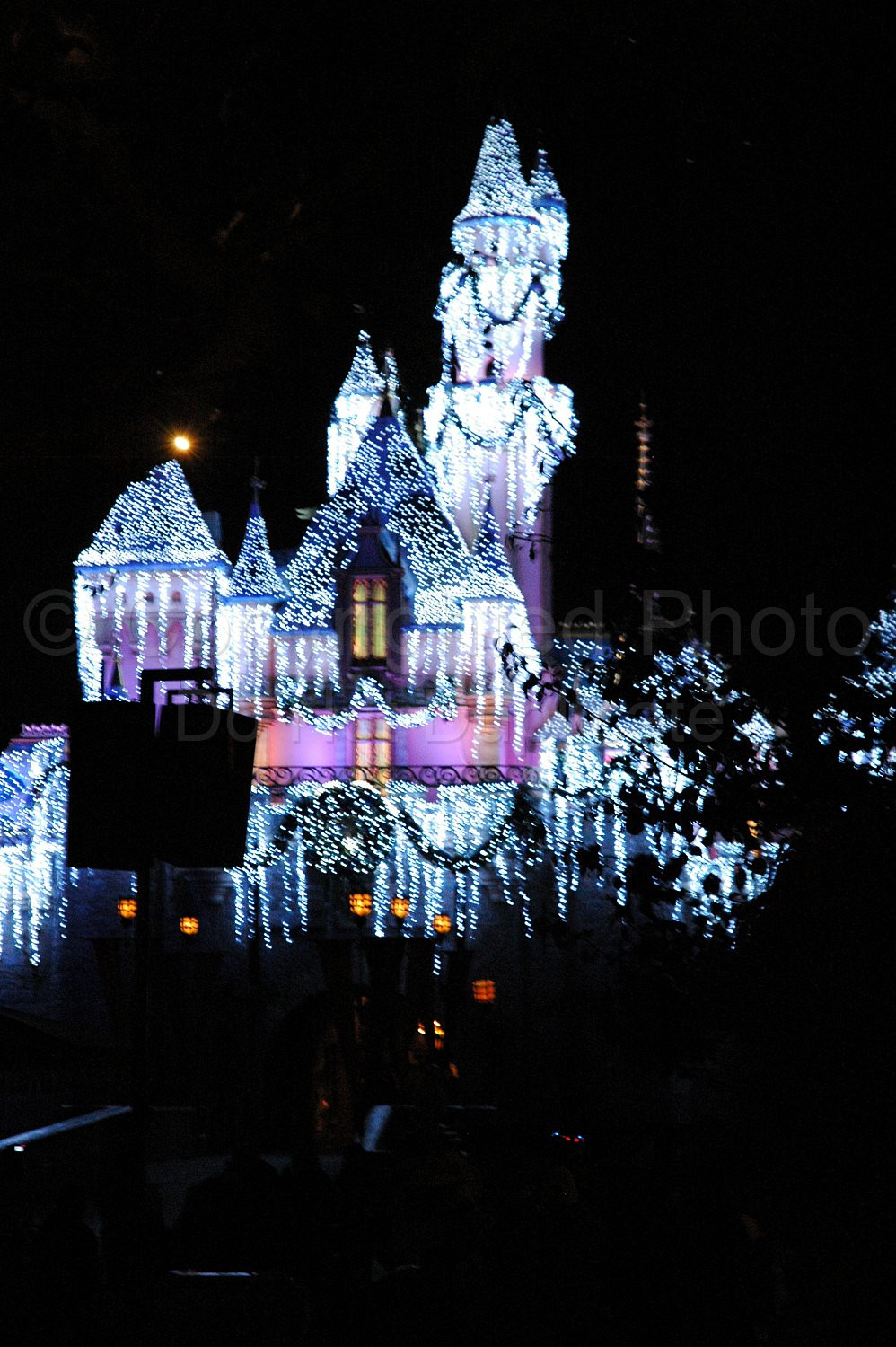 Disneyland Castle