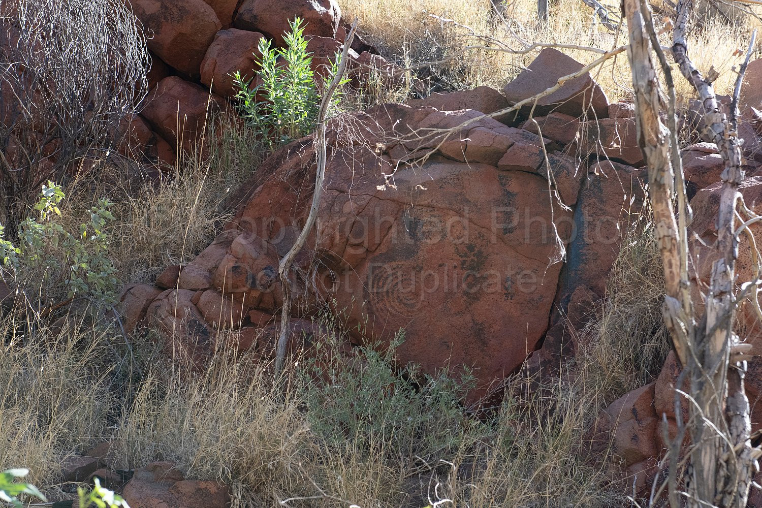 Punda Petroglyph Site