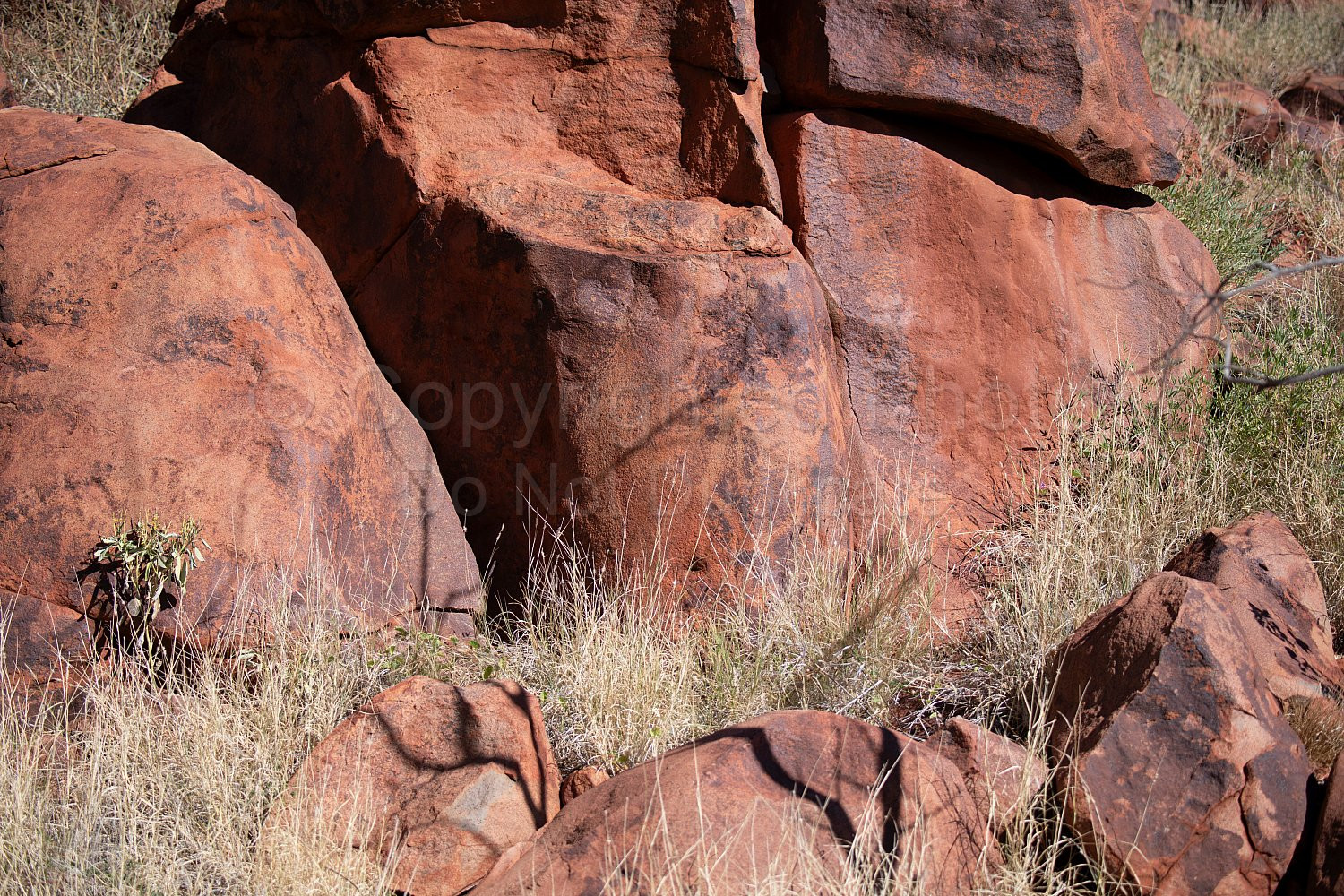 Punda Petroglyph Site