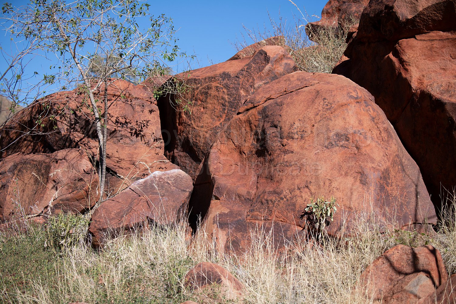 Punda Petroglyph Site