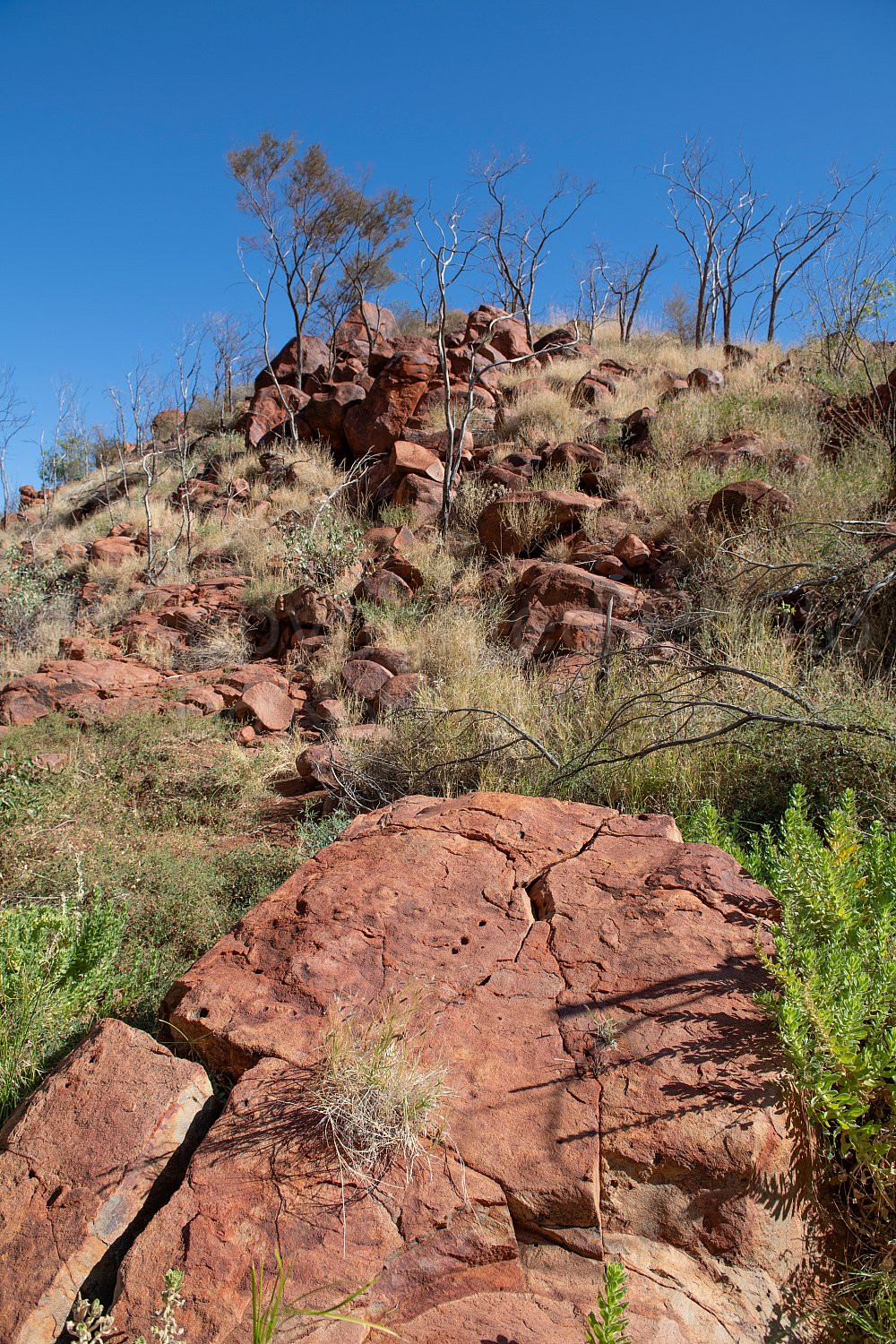 Punda Petroglyph Site