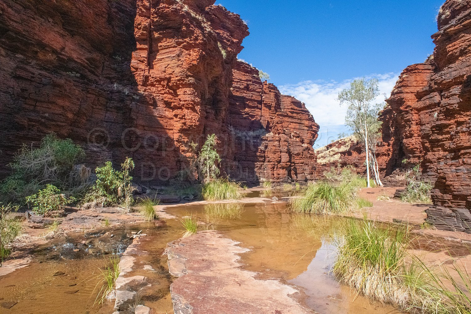 Kalamina Gorge Karijini