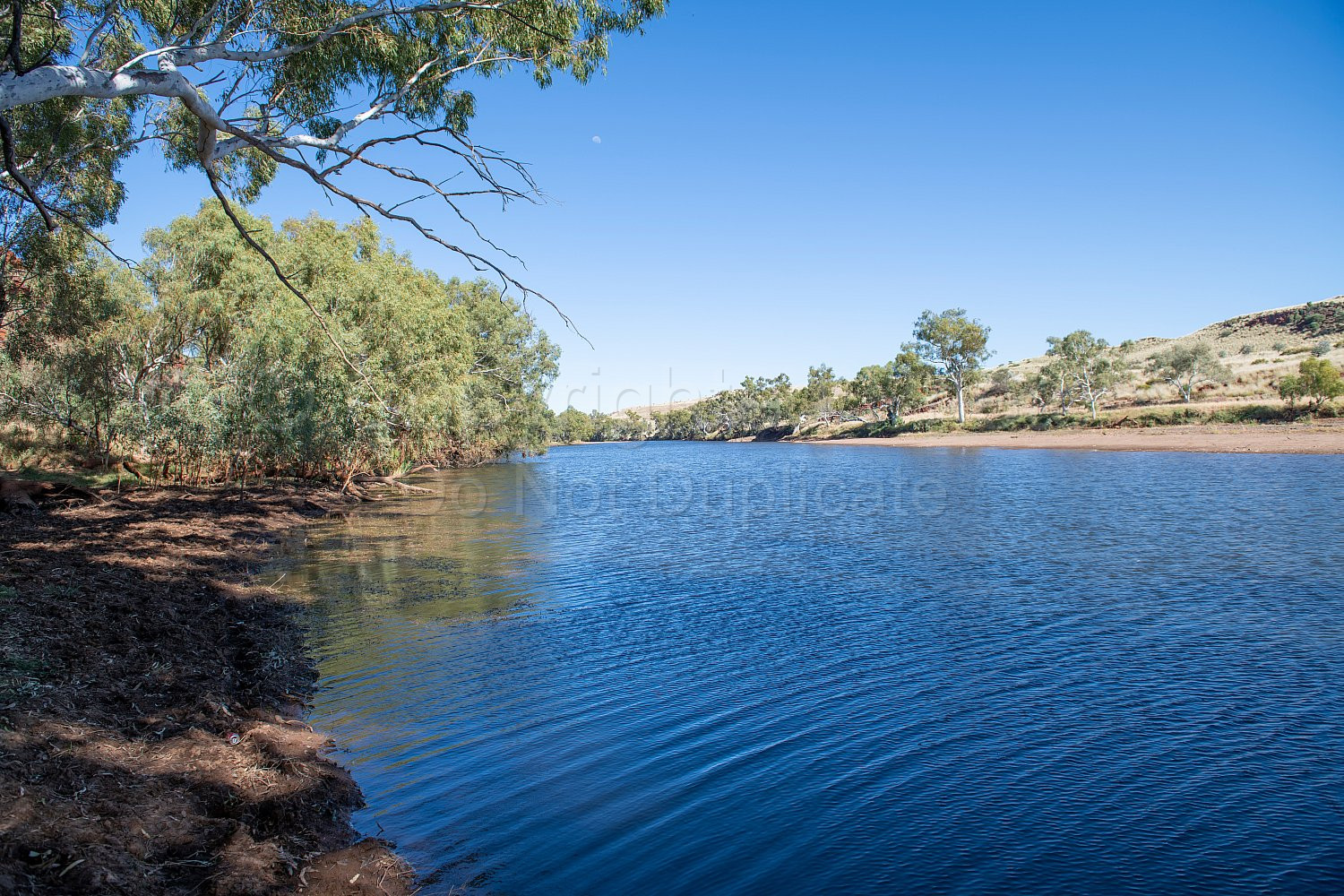 Garden Pool Nullagine