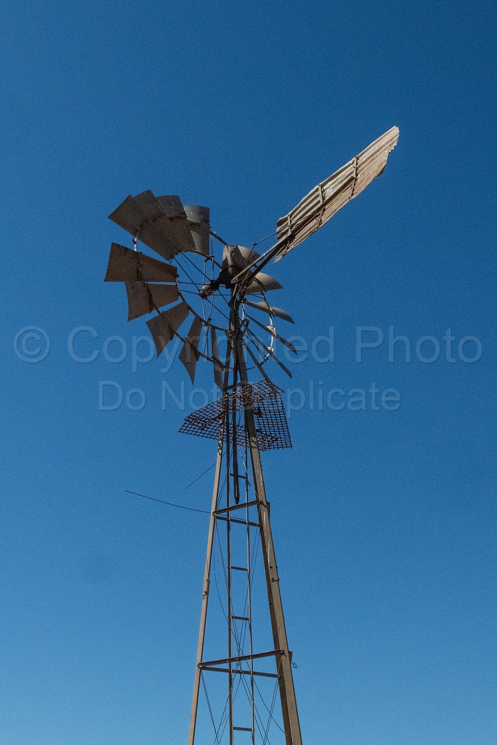 Cheela Plains Station