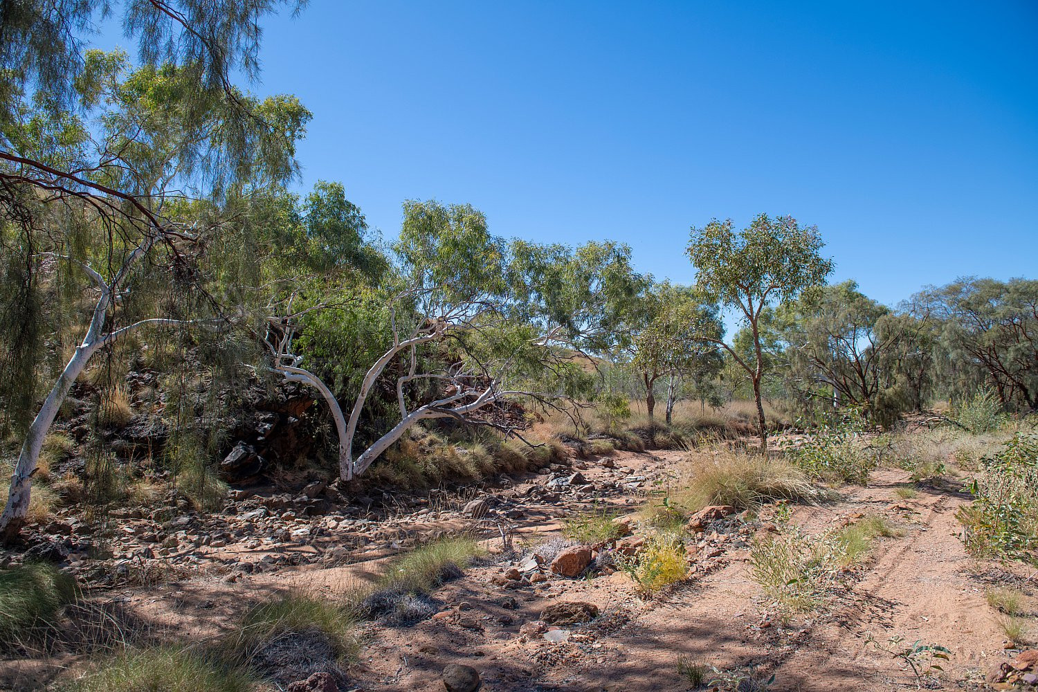 Beaton Pool Nullagine