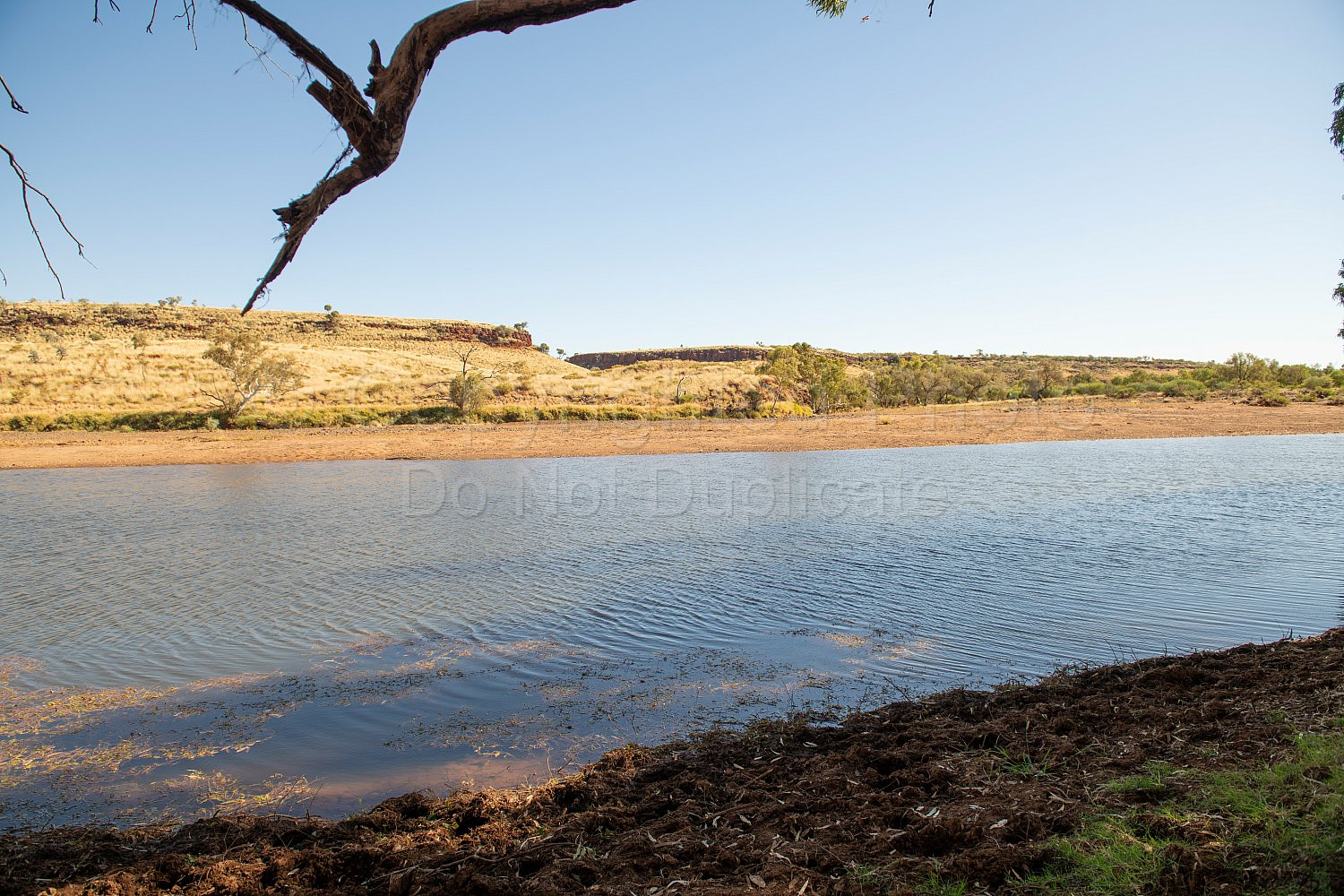 Garden Pool Nullagine