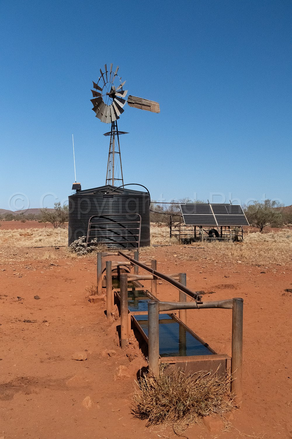 Cheela Plains Station