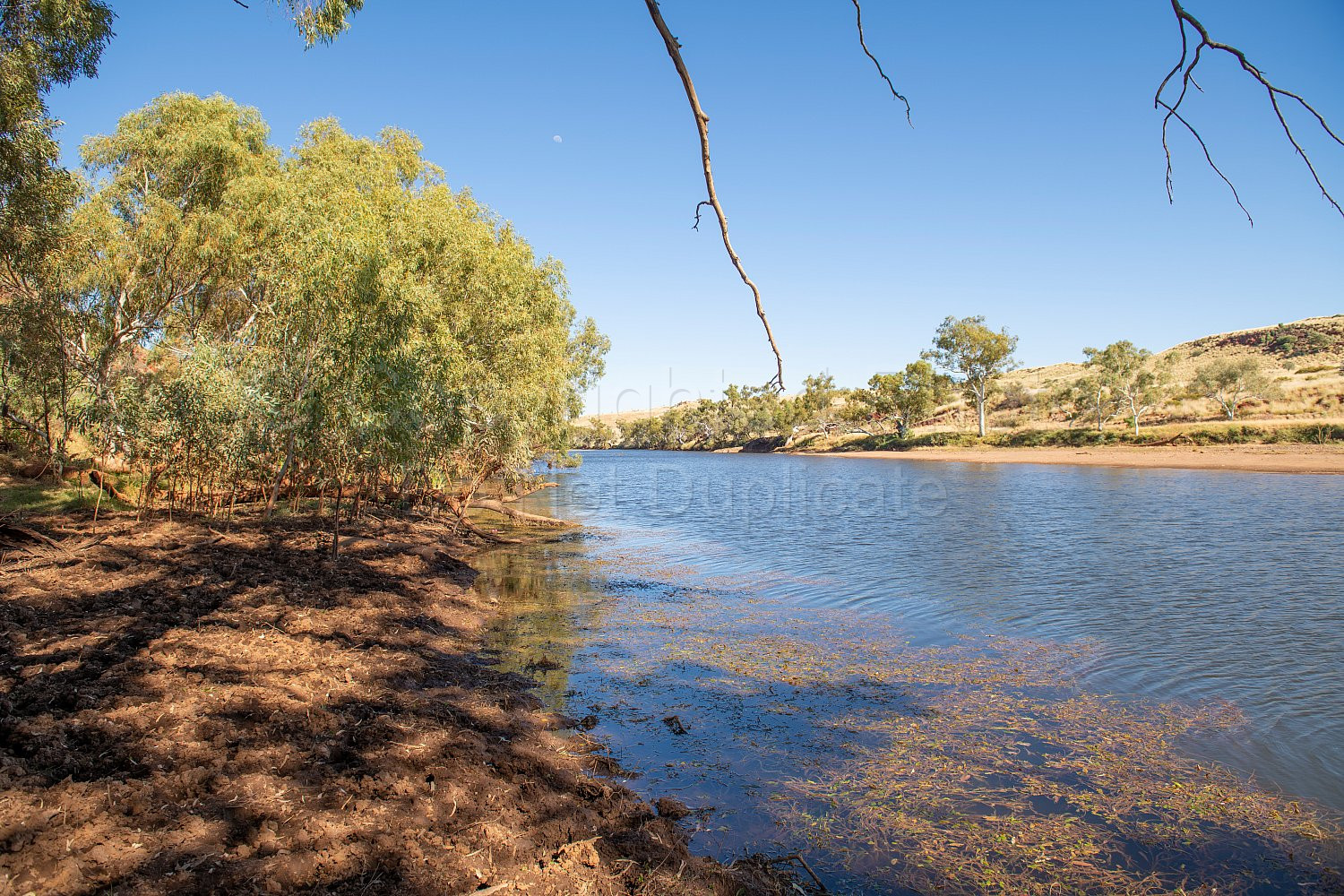 Garden Pool Nullagine
