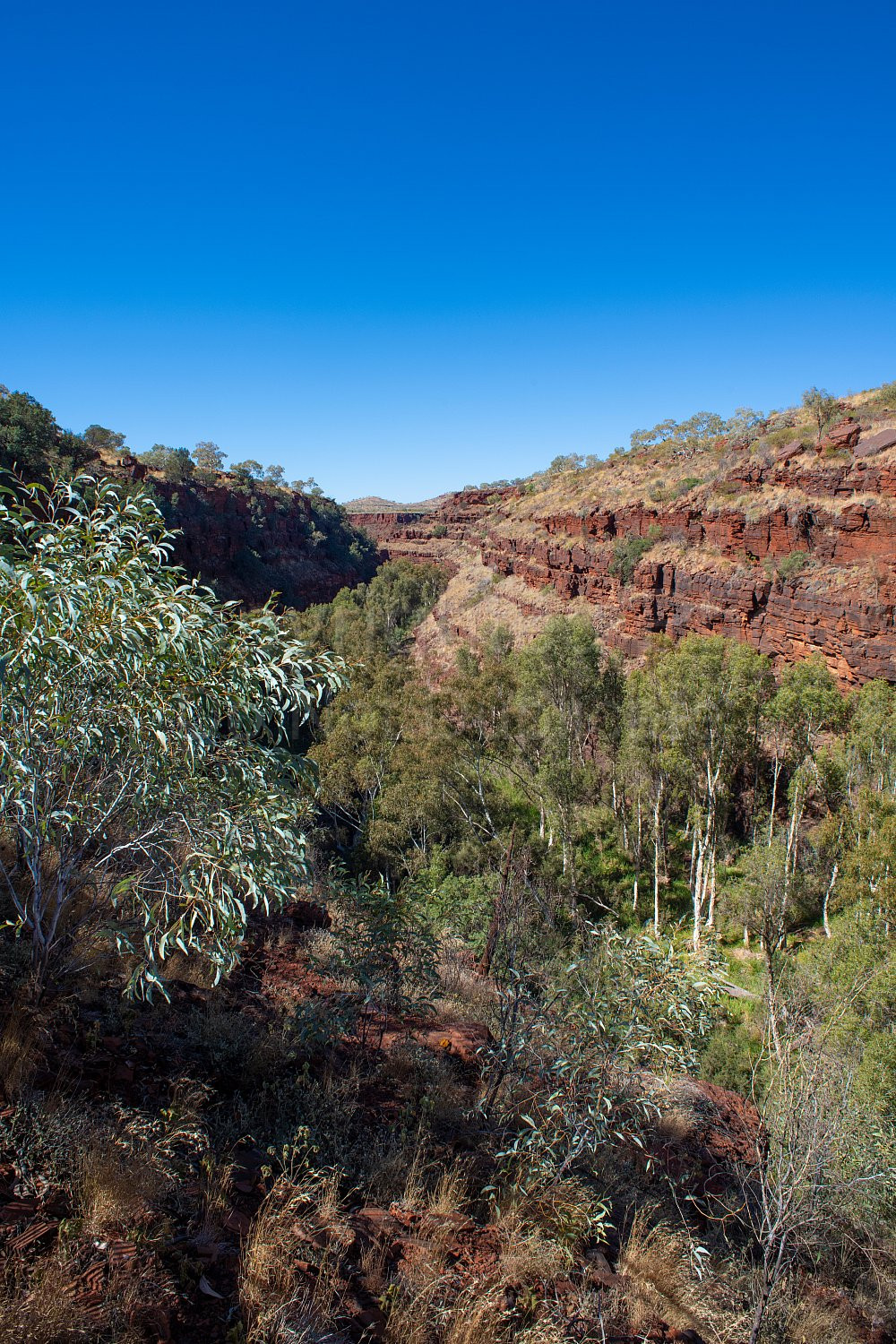 Dales Gorge Karijini