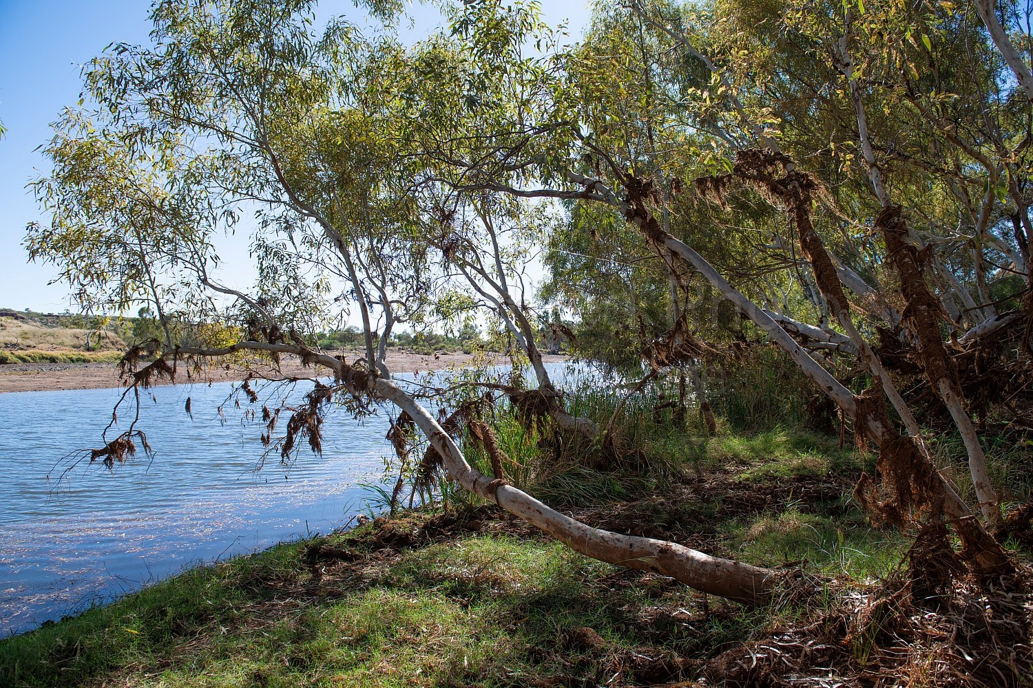 Garden Pool Nullagine