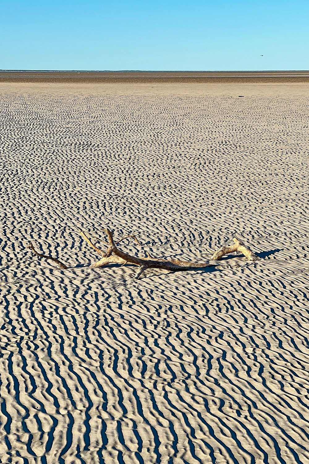 Low tide Pardoo Station