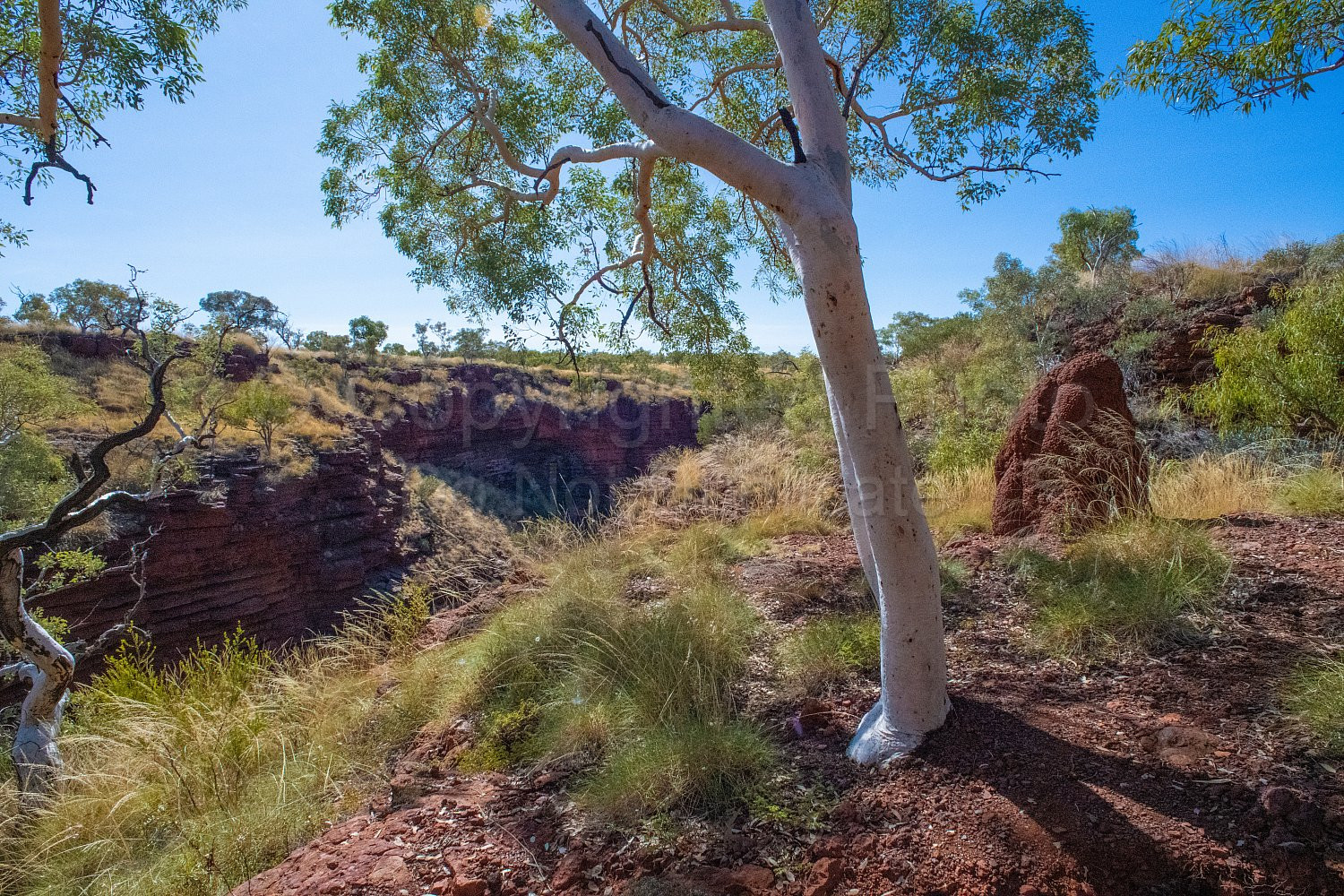 Joffre Gorge Karijini