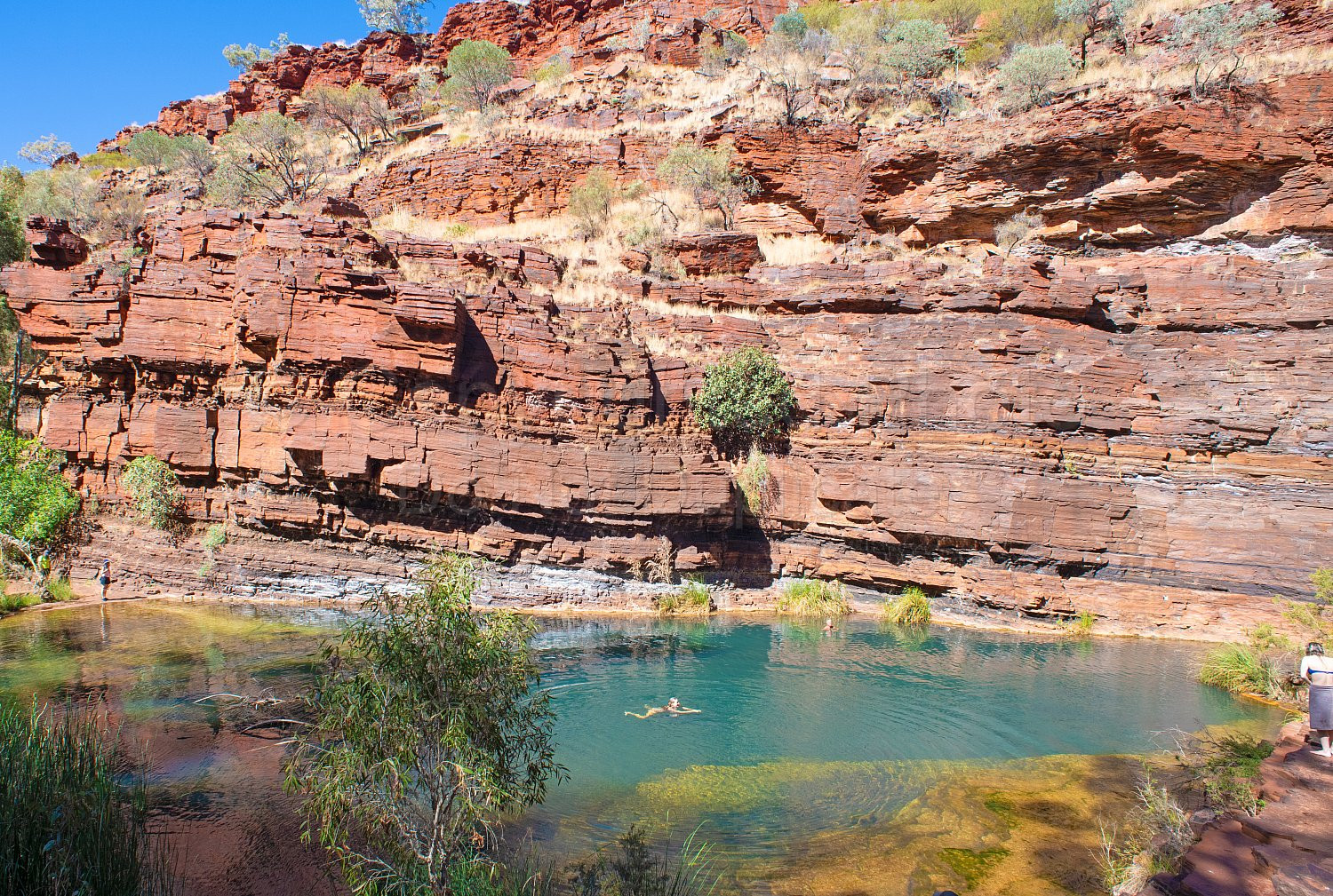 Dales Gorge Karijini