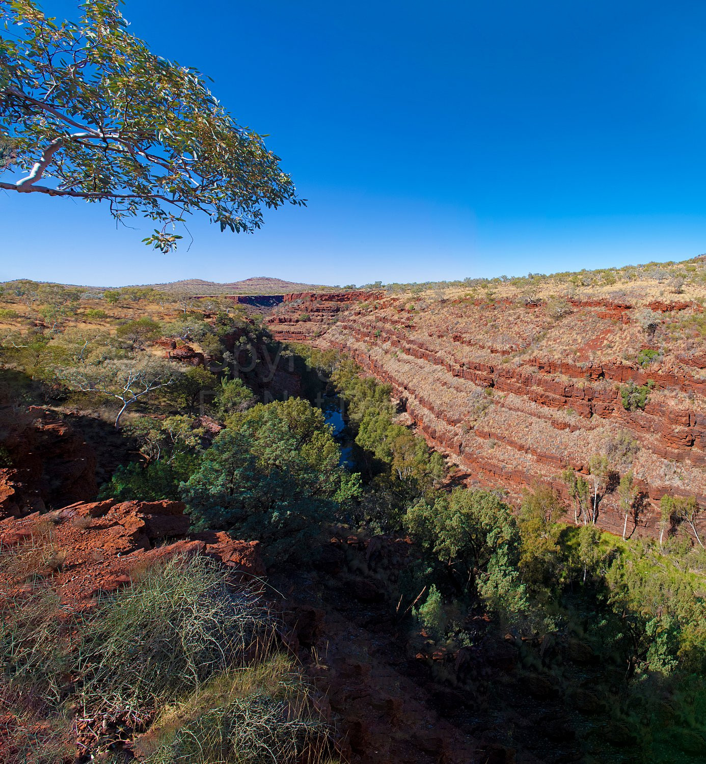 Dales Gorge Karijini