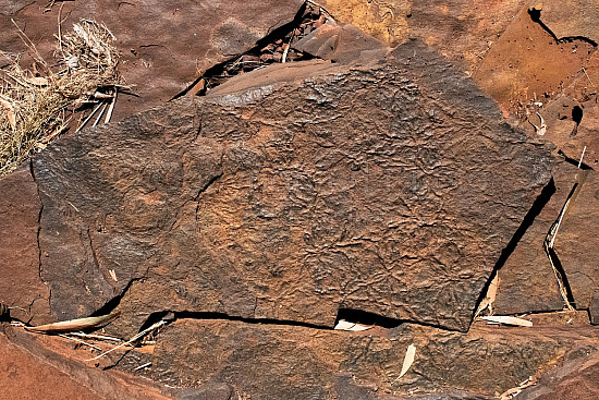 Kalamina Gorge Karijini