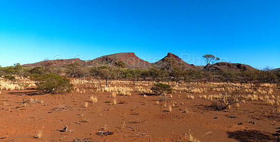 Cheela Plains Station