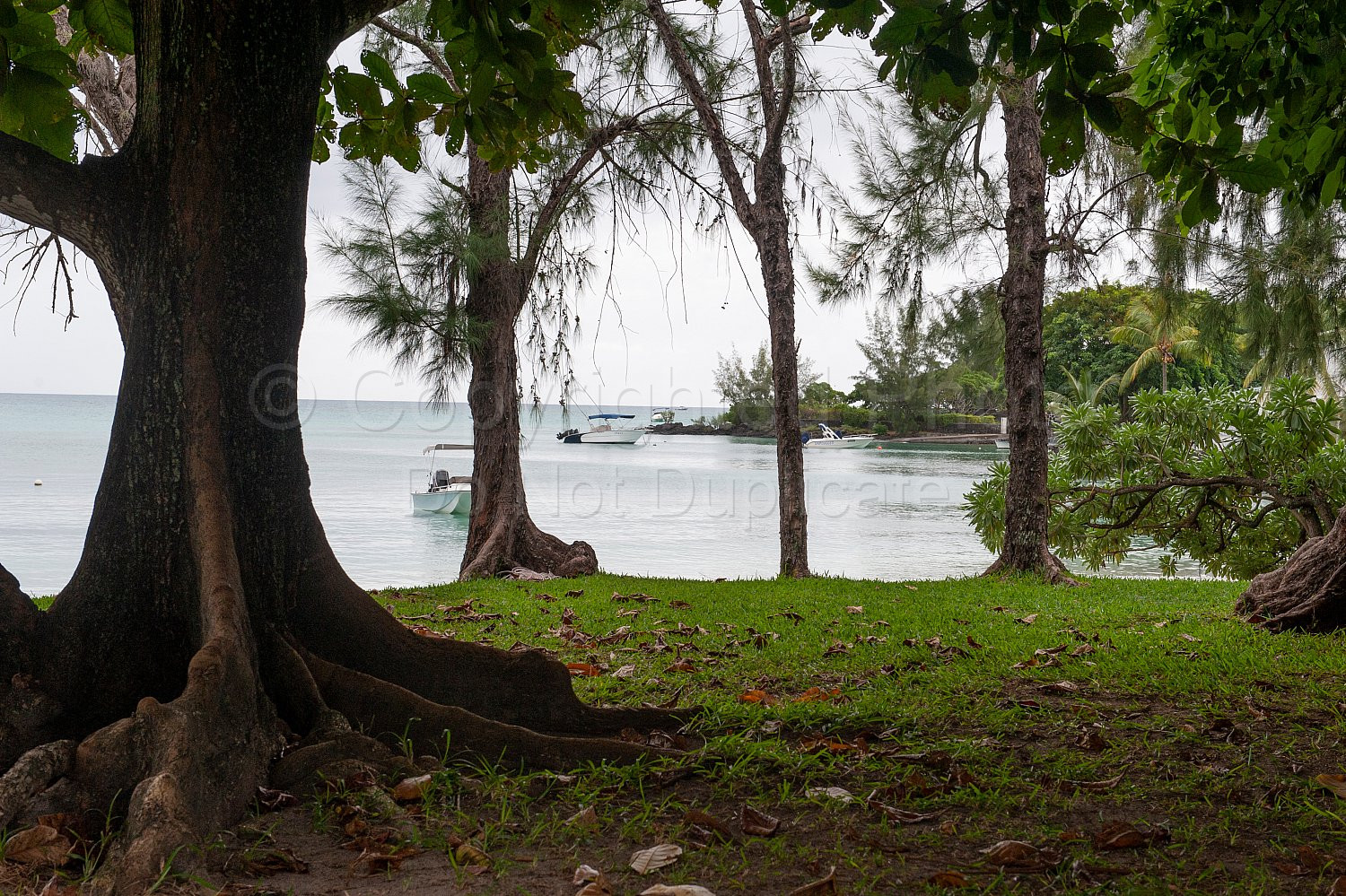 Mauritius