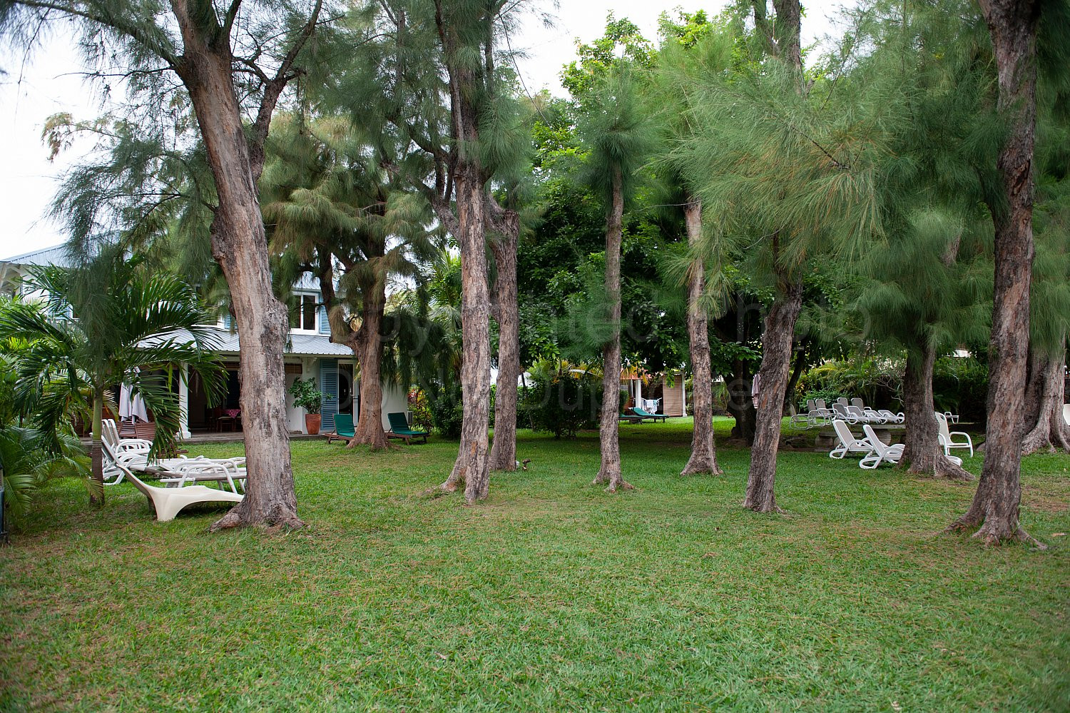 Mauritius