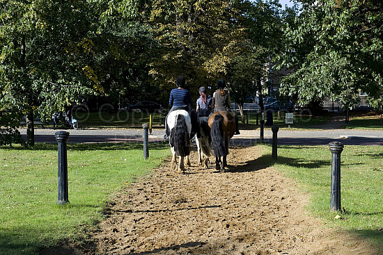London Scene