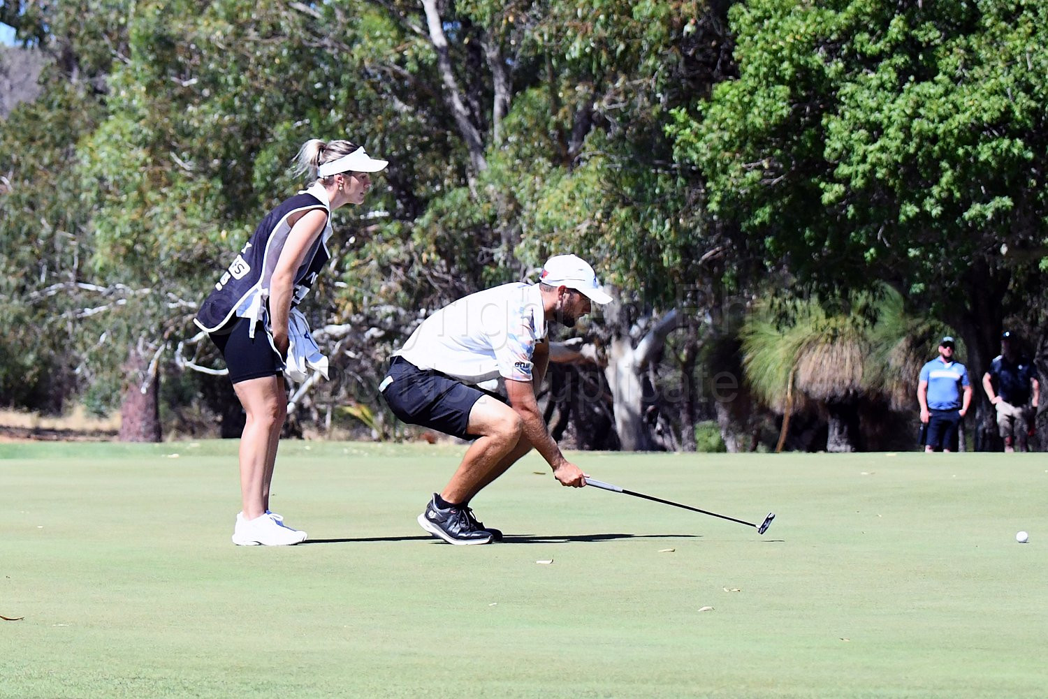 RFGC Webex Series Golf