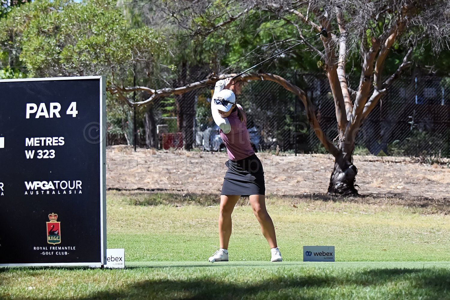 RFGC Webex Series Golf