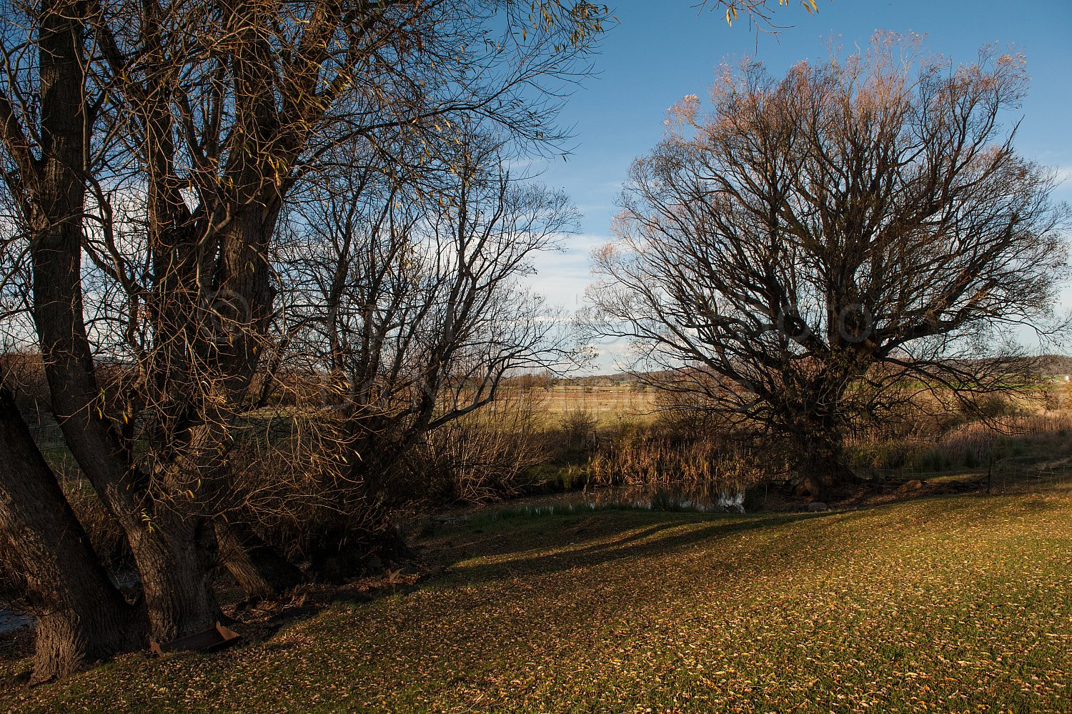 Ratho Farm Bothwell Tasmania