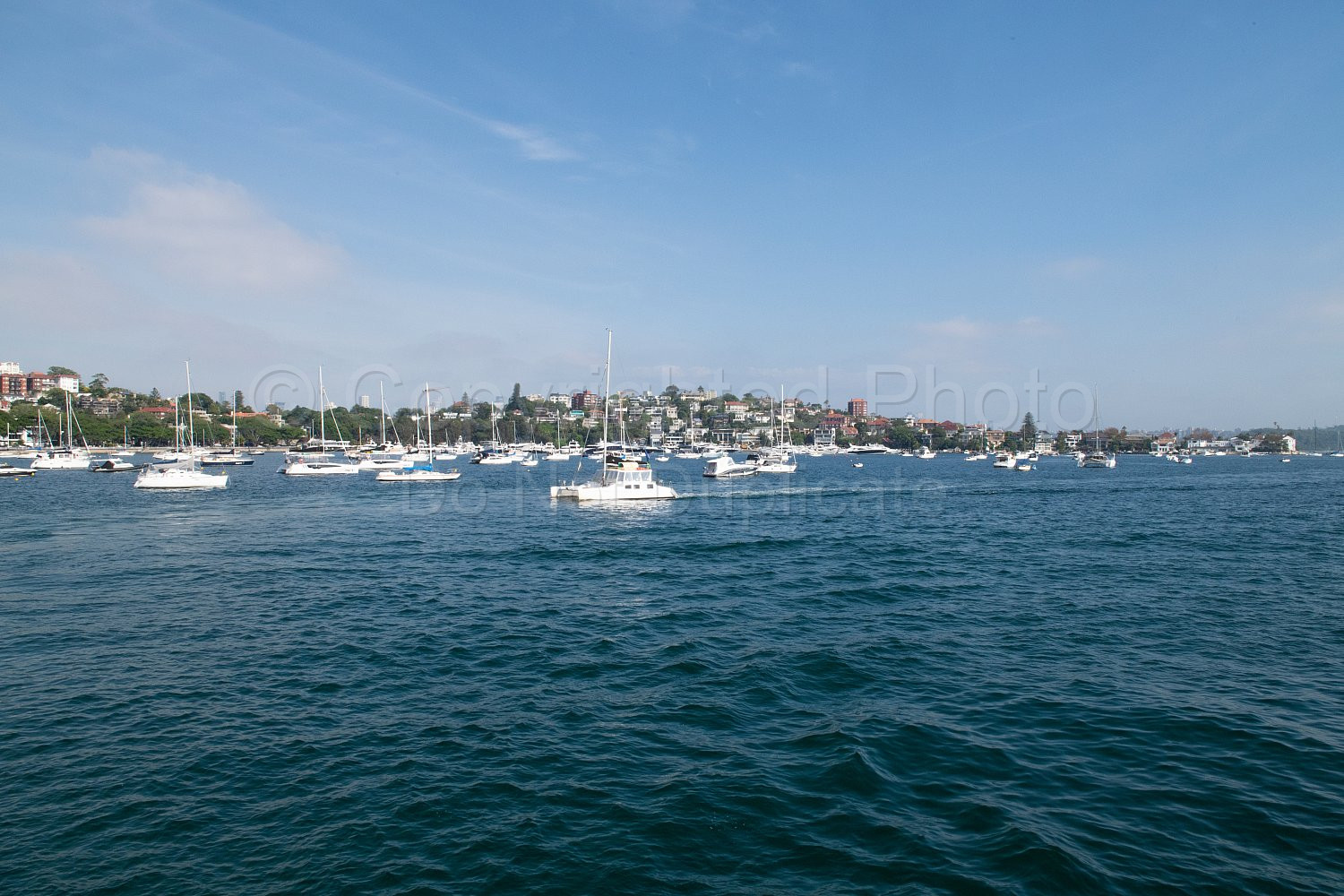 Sydney Harbour