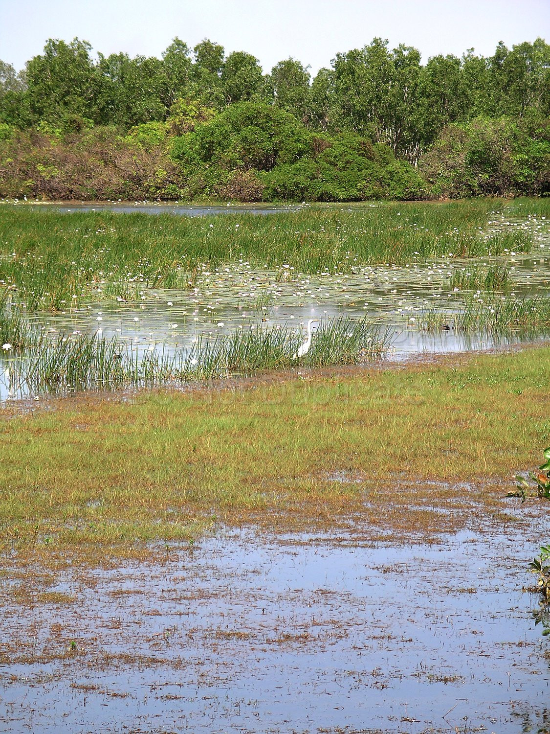 Kakadu Northern Territory
