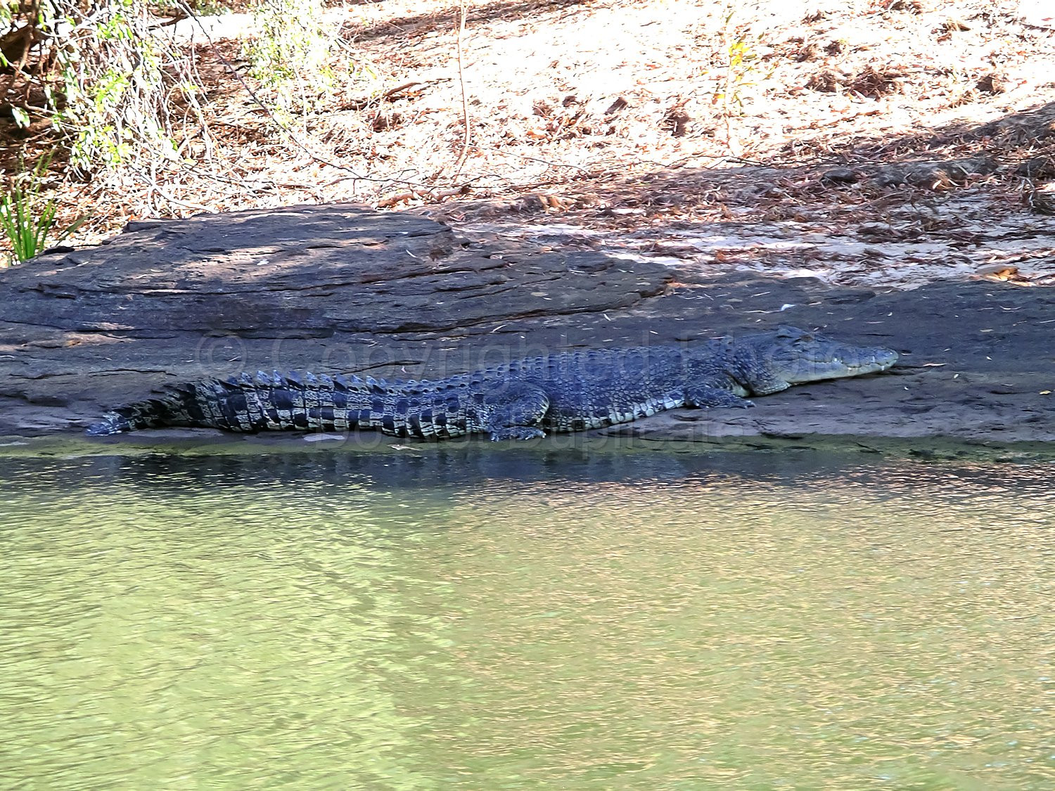Kakadu Northern Territory