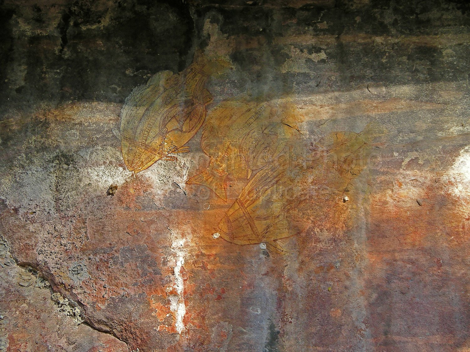 Kakadu Northern Territory