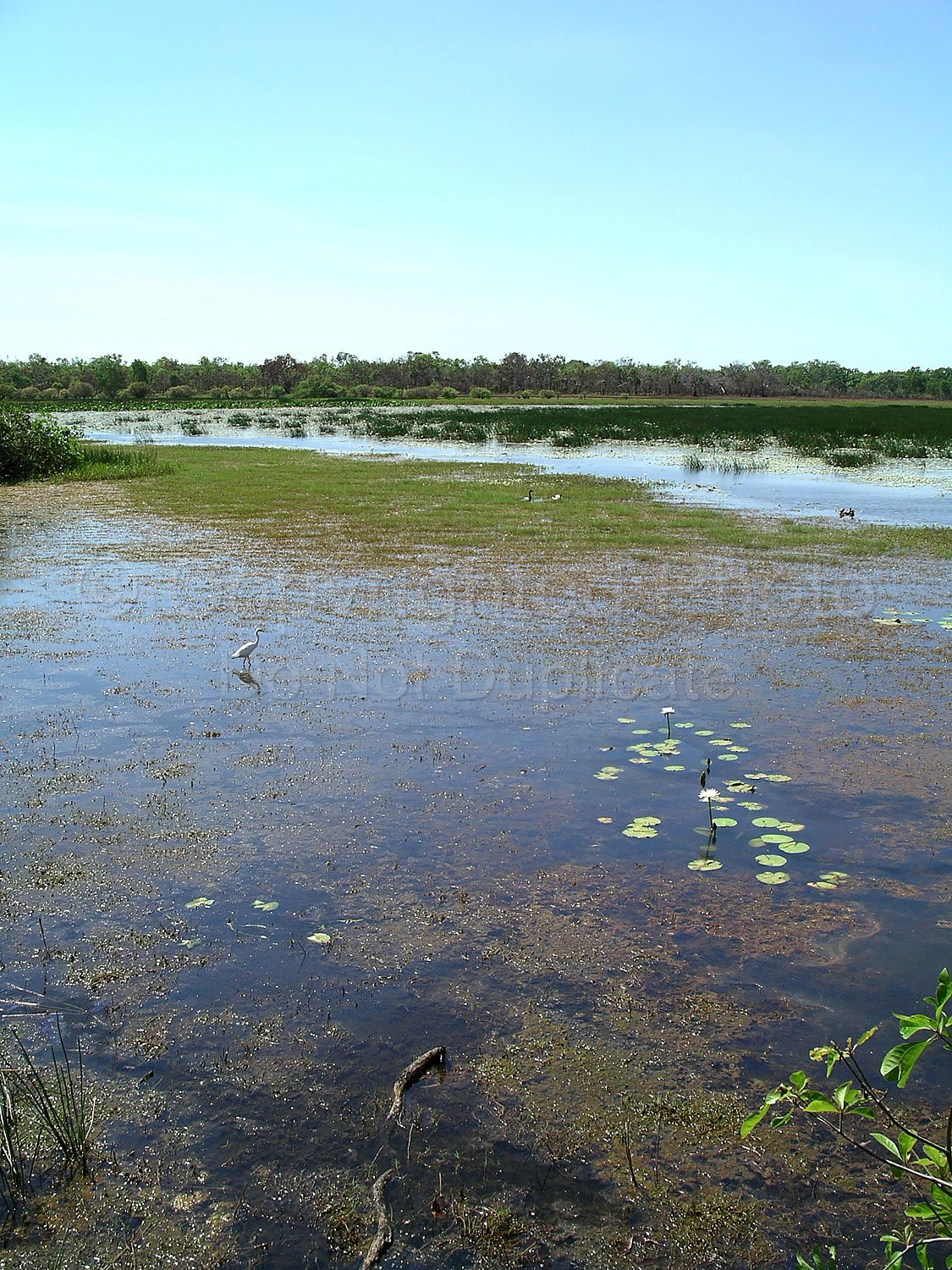 Kakadu Northern Territory