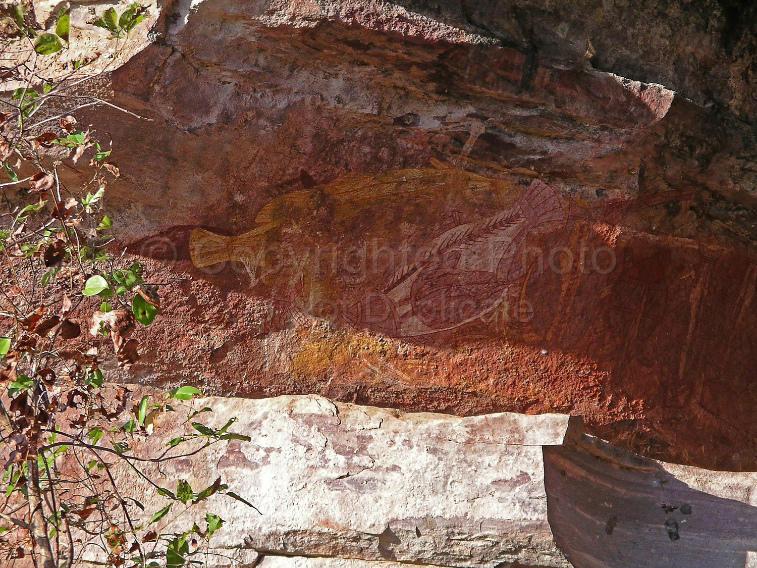 Kakadu Northern Territory