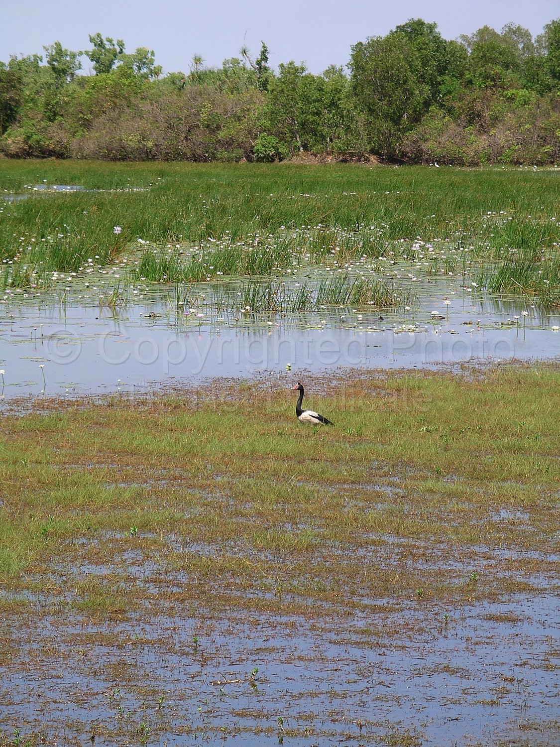 Kakadu Northern Territory