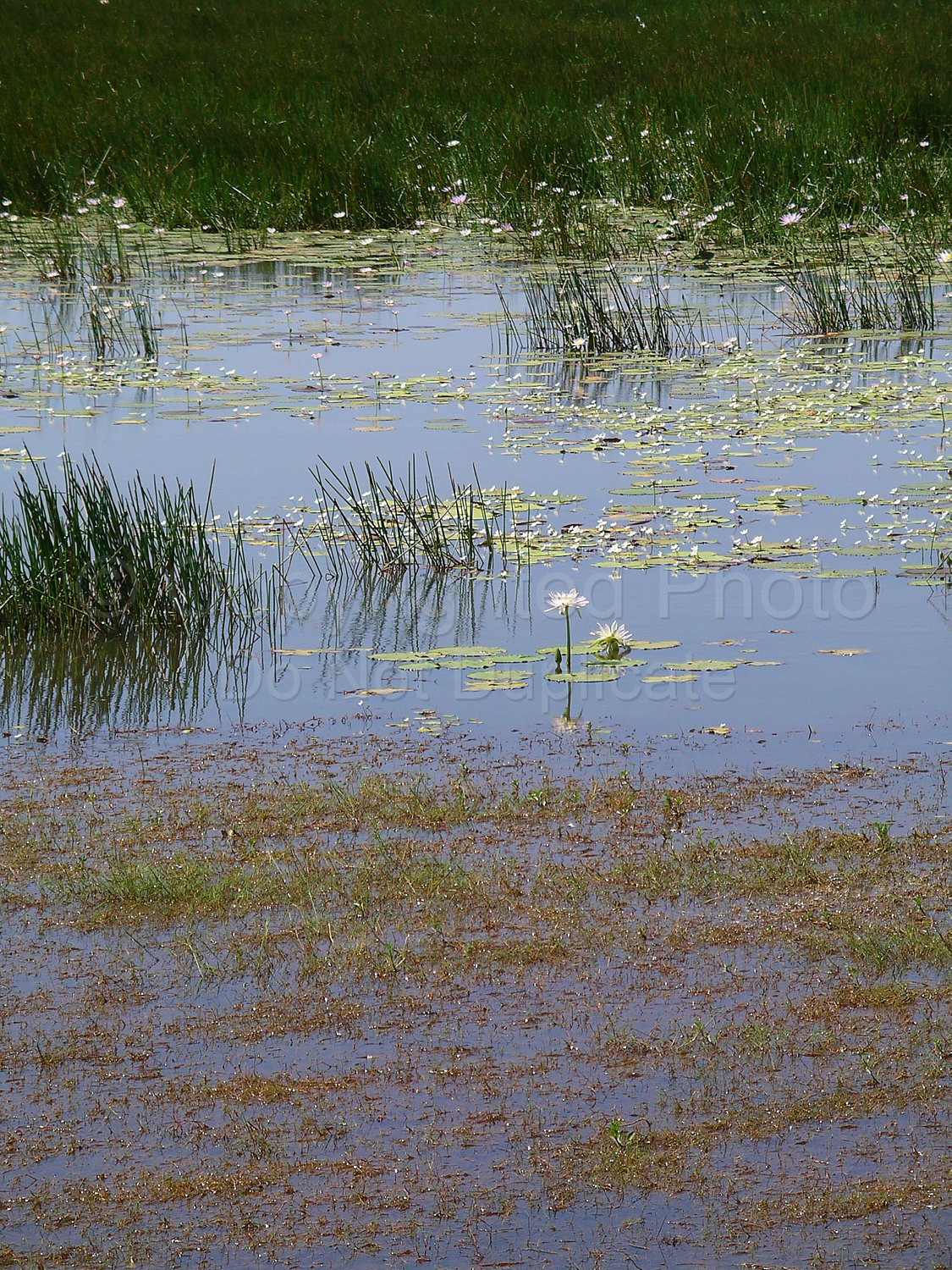 Kakadu Northern Territory