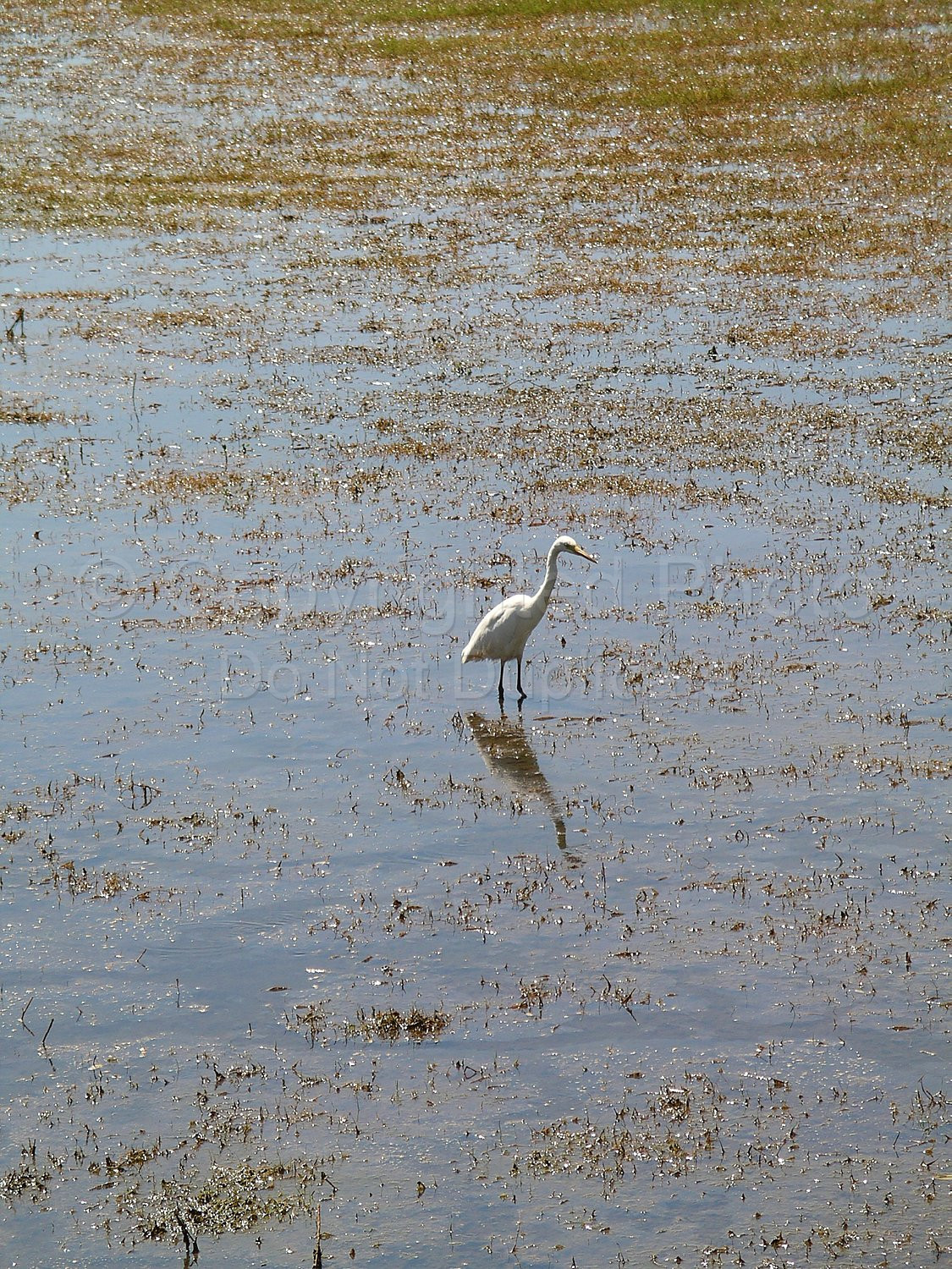 Kakadu Northern Territory