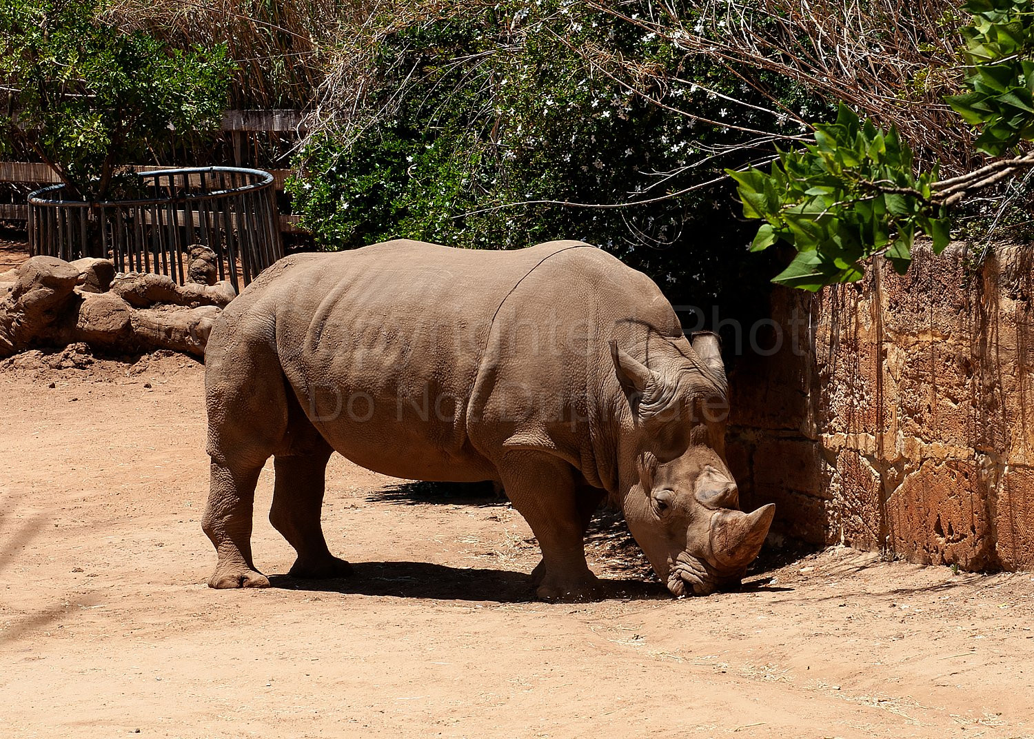 Perth Zoo