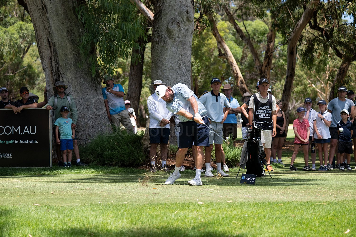 Webex Players Series Golf 2026