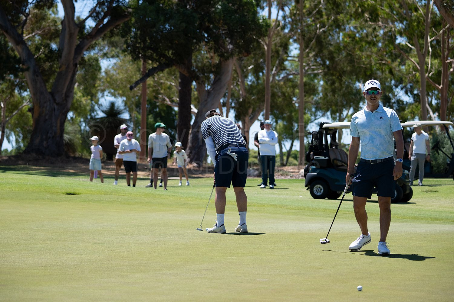 Webex Players Series Golf 2026